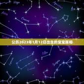 公历2023年1月12日出生的宝宝属相，2023年阳历二月出生的宝宝属