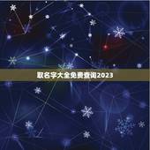 取名字大全免费查询2023，2023男孩取名字寓意好的字