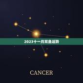 2023十一月双鱼运势