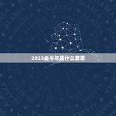 2023金牛年是什么意思，2023牛年是什么命年