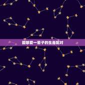 能够爱一辈子的生肖配对，一辈子不离不弃的生肖配对