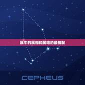 属牛的属相和属啥的最相配，属牛的和属什么的配最合适？