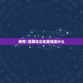 郑克塽是哪年出生属相是什么，施琅与郑克塽的年龄