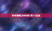 羊年婚配2000年1月11出生，1991年属羊男和2000年属龙女在一