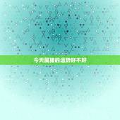 今天属猪的运势好不好，95年的属猪的今年运势好不好