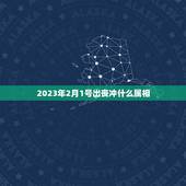 2023年2月1号出丧冲什么属相，2023年今天属什么生肖？