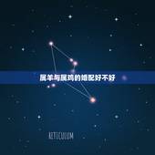 属羊与属鸡的婚配好不好，男属羊女属鸡相配好不好