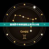 属狗的今年财运怎么样2023年(介绍财运大好还是不利)