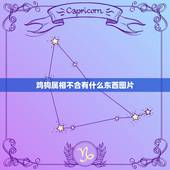 鸡狗属相不合有什么东西图片，狗的八字不合的生肖有哪些