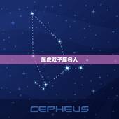 属虎双子座名人，2023虎百年难遇