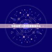 今日运势12月9日属相是什么，1975年12月出生属兔是什么星座，财运