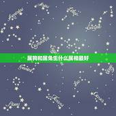 属狗和属兔生什么属相最好，请问我属狗老公属兔生个什么属相的宝宝比较好啊