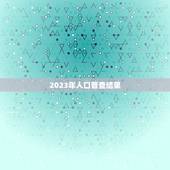 2023年人口普查结果，2023全国人口普查数据是多少？