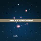 2023年属狗人的全年运势男性，2023年属狗人的全年运势男性婚姻