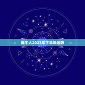 属牛人2023年下半年运势，属牛女2023年运势及运程每月运程
