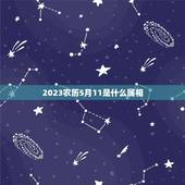 2023农历5月11是什么属相，今年属相2023属相