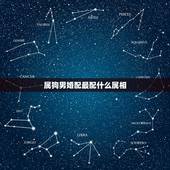 属狗男婚配最配什么属相，男属狗的和什么属相最配