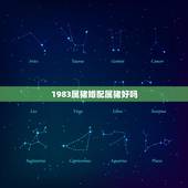 1983属猪婚配属猪好吗，83年属猪和83年属猪的相配吗