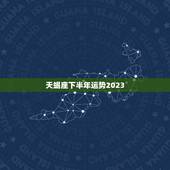天蝎座下半年运势2023，2023 射手座全年运势