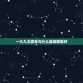 一九九五四年与什么属相婚配好，和属什么生肖婚配最好