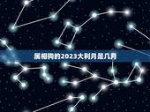 属相狗的2023大利月是几月，2023属狗的今年多大