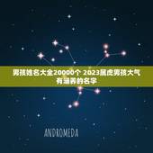 男孩姓名大全20000个 2023属虎男孩大气有涵养的名字
