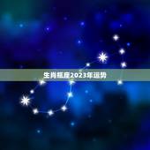 生肖瓶座2023年运势