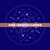 夫妻两人属狗适合生什么属相宝宝，属狗的男性配什么属相最为合适啊！