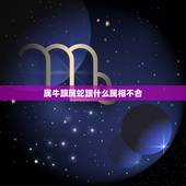 属牛跟属蛇跟什么属相不合，属蛇的和什么属相配