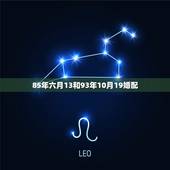 85年六月13和93年10月19婚配，八五年金命与九三年金命婚配吗
