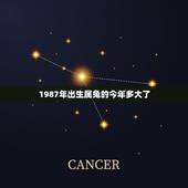 1987年出生属兔的今年多大了(属相与年龄计算)