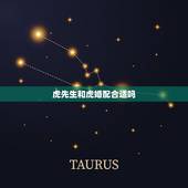 虎先生和虎婚配合适吗，婚姻属虎配什么