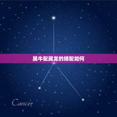 属牛配属龙的婚配如何，生肖龙与牛相配吗？