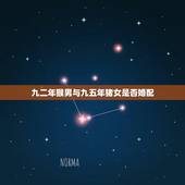 九二年猴男与九五年猪女是否婚配，92年属猴男的和95年属猪的女相克吗？