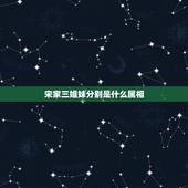 宋家三姐妹分别是什么属相，宋家三姐妹的历史简介