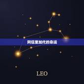 阿信里加代的命运，《阿信》剧情