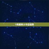7月属羊人今日运势