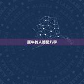 属牛的人婚配八字，属牛的女人财运婚配