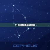 11月流星雨具体日期，2023 11月流星雨