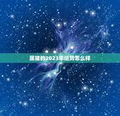 属猪的2023年运势怎么样，2023年运势属猪运势