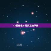 12星座谁才是真正的学神，十二星座学霸排行榜