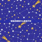 属鼠的婚配什么属相不好，十二生肖相生又相克，属鼠的和什么属相最配？