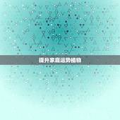 提升家庭运势植物，提升家庭运势 植物