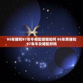 95年猪和97年牛相配婚姻如何 95年男猪和97年牛女婚配好吗