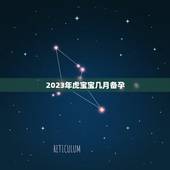 2023年虎宝宝几月备孕，2023年属虎宝宝几月出生最好