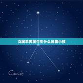 女属羊男属牛生什么属相小孩，男属牛，女属羊，生什么属相的宝宝最好？