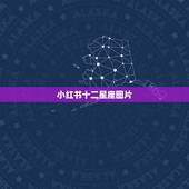 小红书十二星座图片，十二星座唯美漫画头像女