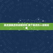 属虎跟属虎的结婚好吗 两个属虎的人结婚后果