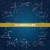 2023虎百年什么来头，2023年属虎人的全年运势