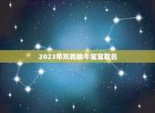 2023年双胞胎牛宝宝取名，2023牛宝宝取名宜用字